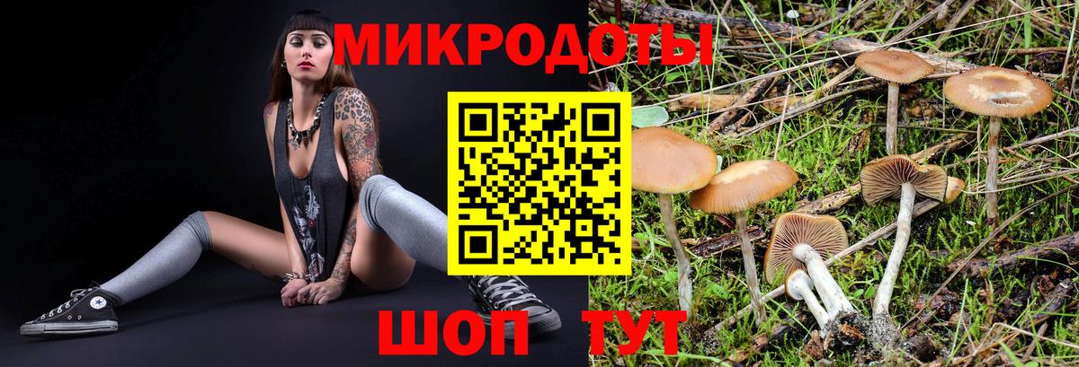 Нерюнгри  Галлюциногенные грибы прущие грибы  цены наркотик  Вход с VPN 