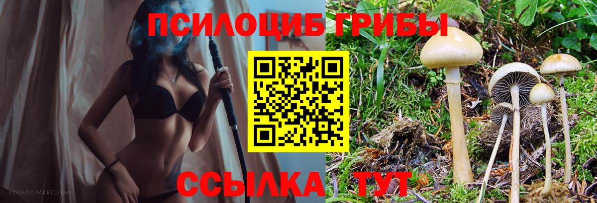 Галлюциногенные грибы MAGIC MUSHROOMS Нерюнгри